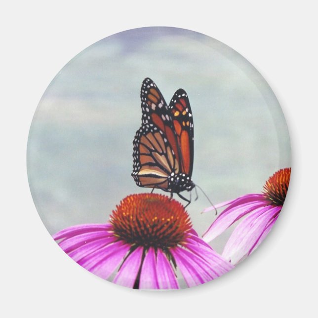 Imã Néctar doce - ímã (Frente)