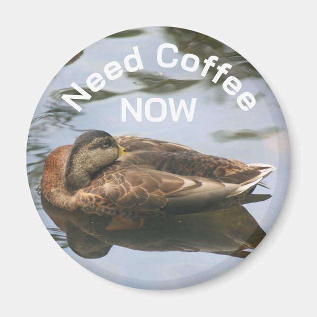 Imã Need Coffee Sleepy Duck Funny  (Frente)