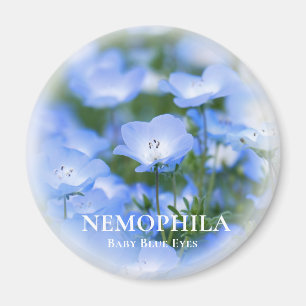 Imã NEMÓFILA (Olhos Azuis Bebê)