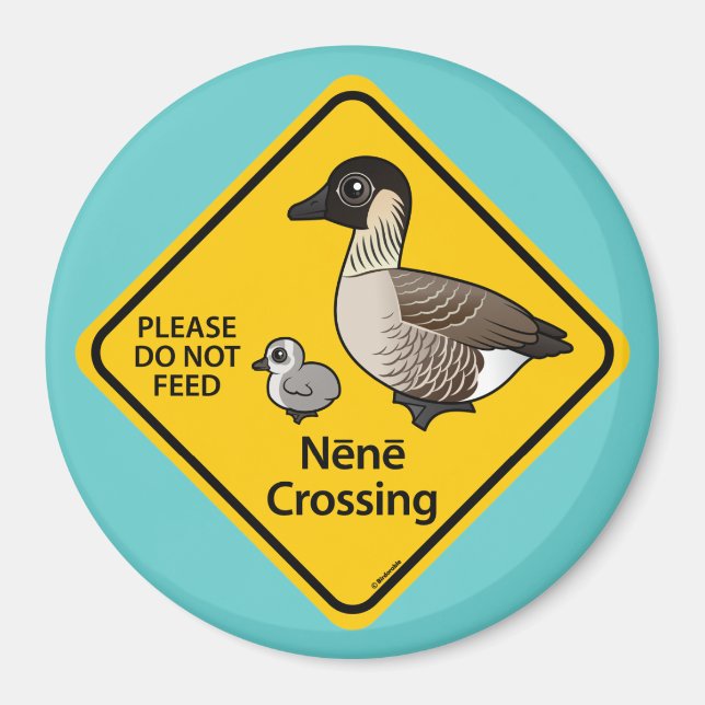 Imã Nene Crossing (Frente)