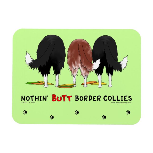 Ímã Nenhuma borda do Bumbum Collies (Horizontal)