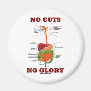 Imã Nenhuma entranhas nenhuma glória (humor da