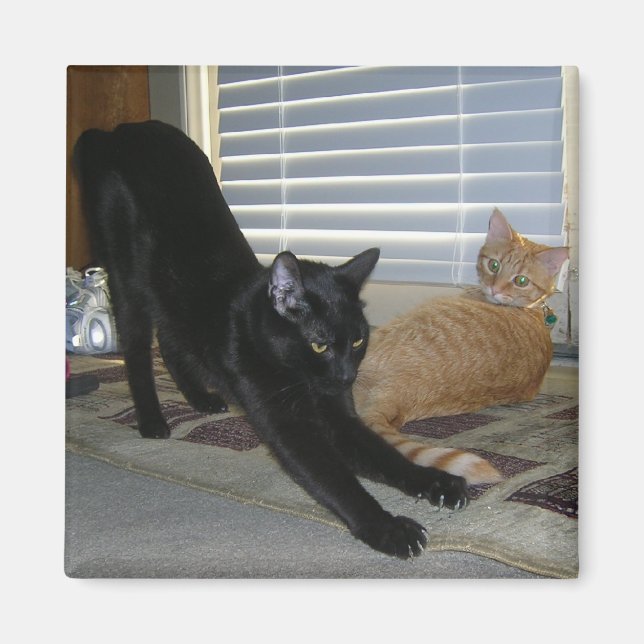 Imã Neo e Isabelle Magnet (Frente)