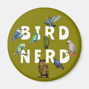 Imã Nerd, papagaios, coruja, pombos, kookaburra