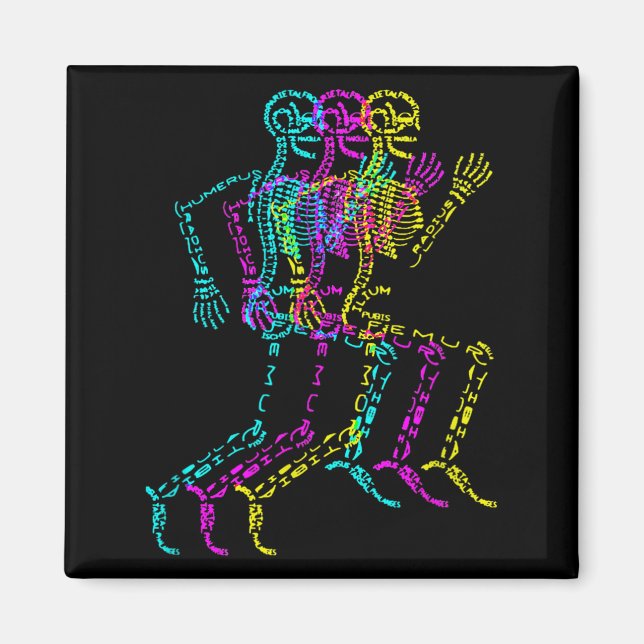 Imã Nerdy Skeleton Bones Labeled Funny Halloween Human (Frente)