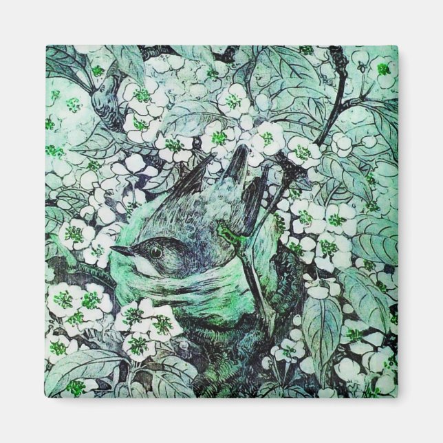 Imã NEST DO PÁSSARO, verde branco (Frente)