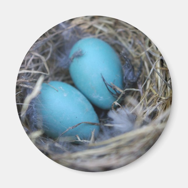 Imã Nest Magnet (Frente)