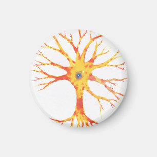 Imã Neuron