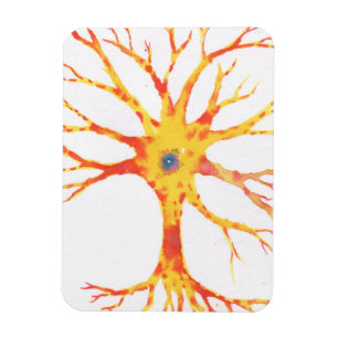 Ímã Neuron