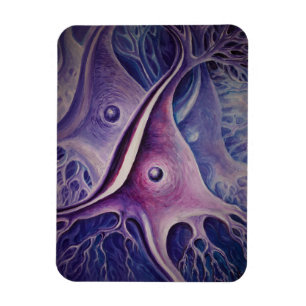 Ímã Neurônio piramidal