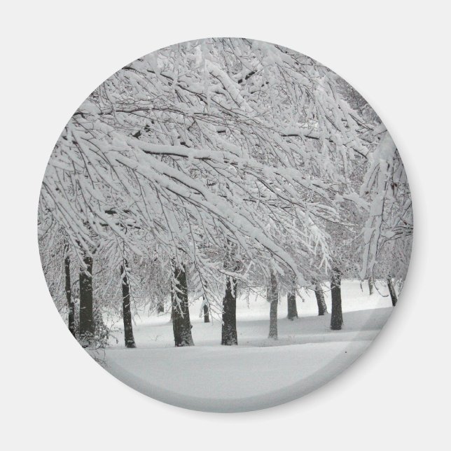 Imã neve (Frente)