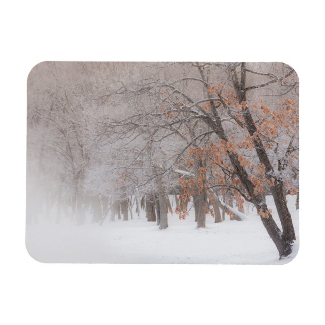 Ímã Neve de inverno | Lago Kussharo (Horizontal)