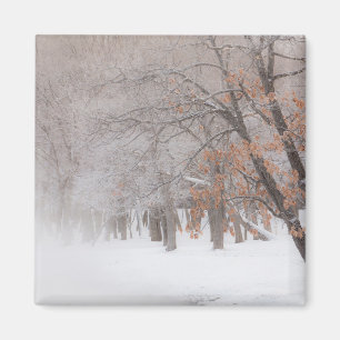 Imã Neve de Inverno Lago Kussharo