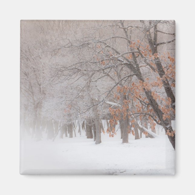 Imã Neve de inverno | Lago Kussharo (Frente)