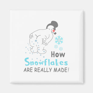 Imã Neve Divertida Como os Flocos de Neve São Realment