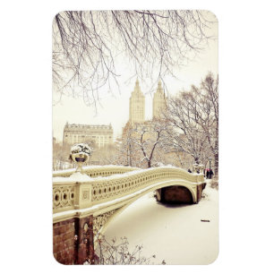 Ímã Neve do Central Park - inverno New York