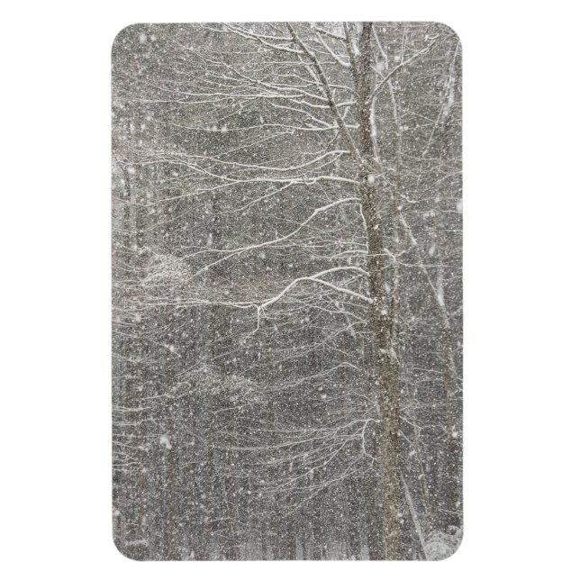 Ímã Neve em queda (Vertical)