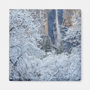 Imã Neve fresca nas árvores abaixo de Bridalveil