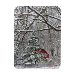 Ímã Neve Red Barn