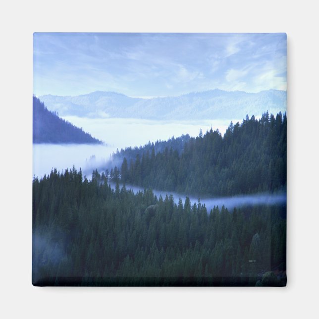 Imã Nevoeiro matinal.... (Frente)