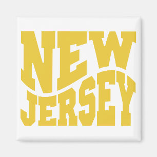 Imã New-jersey