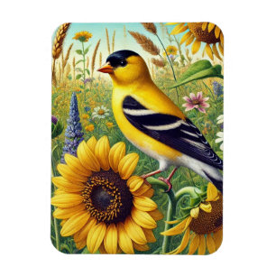 Ímã New Jersey State Bird Eastern Goldfinch