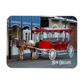 Ímã New Orleans Carruagem Ride