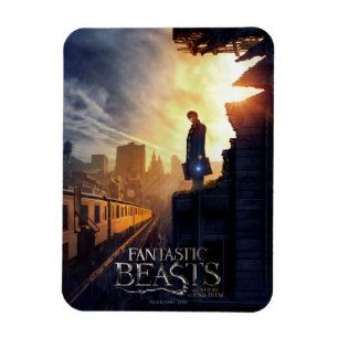 Ímã NEWT SCAMANDER™ no edifício destruído