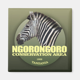 Imã Ngorongoro (zebra) WT