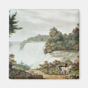 Imã Niagara Falls, da ilha da cabra