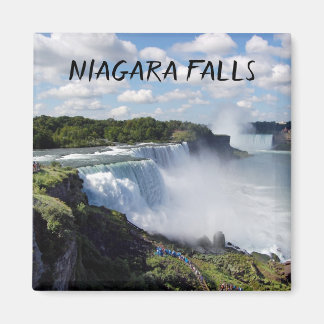 Imã Niagara Falls Magnet
