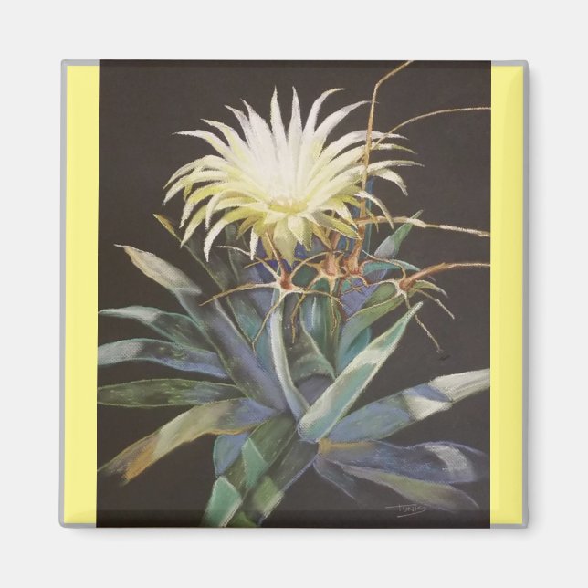 Imã ''Night Bloom'' de Bruce Tunis (Frente)