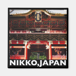 Imã Nikko Magnet