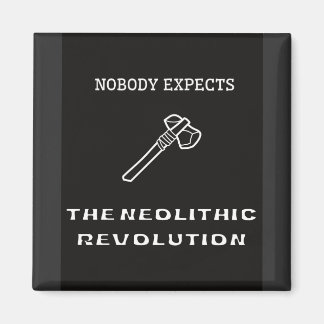 Imã Ninguém espera a revolução neolítica