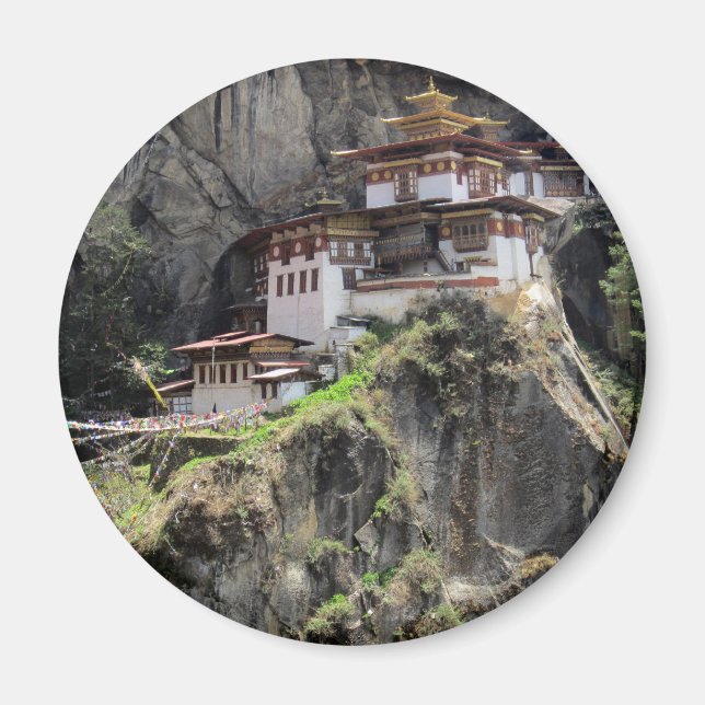 Imã ninho de tigre (Frente)