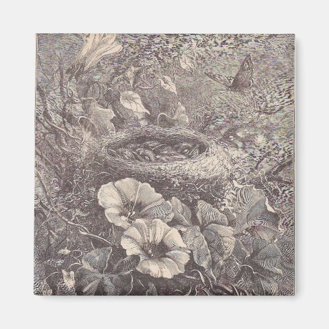 Imã Ninho, Flores e Borboleta (Frente)