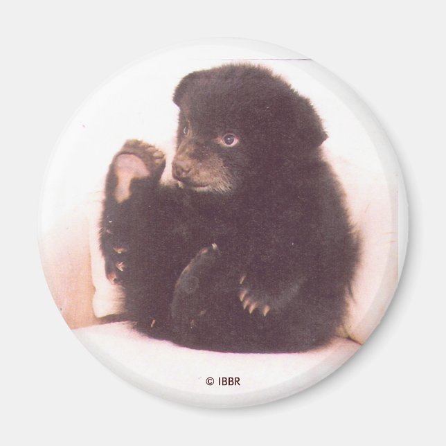 Imã Nipper Magnet (Frente)