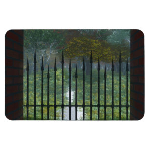 Ímã No Antigo Magneto Flexível Da Floresta