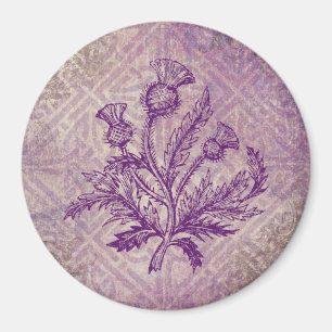 Imã Nó celta roxo do cardo escocês