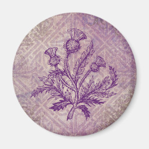 Imã Nó celta roxo do cardo escocês