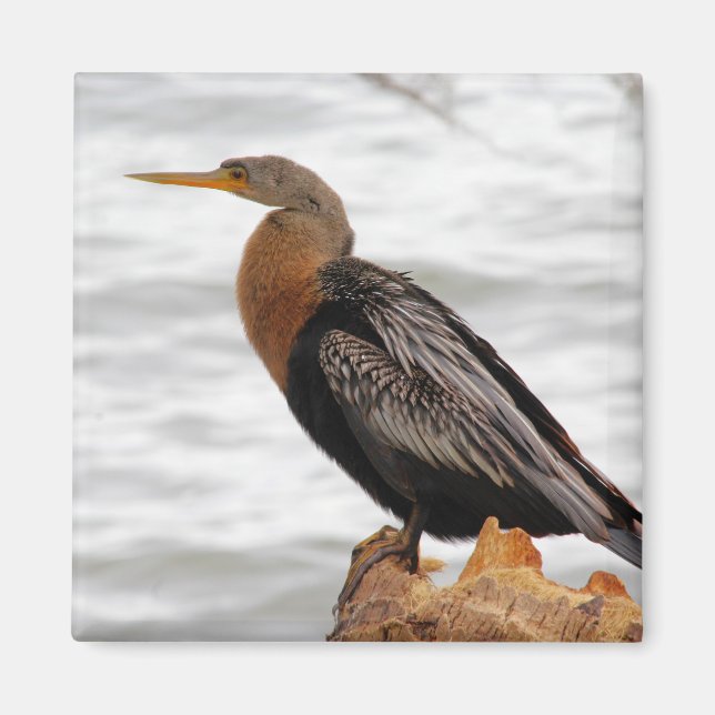 Imã No Lookout (Frente)