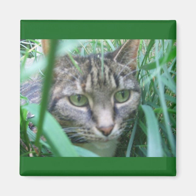 Imã No Magneta de Caça (Frente)