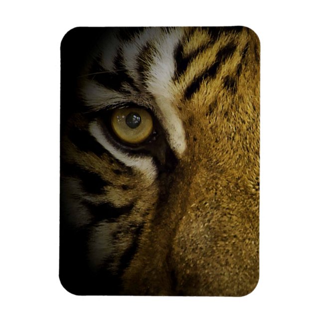 Ímã No Olho de um Tigre (Vertical)
