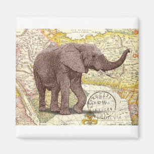 Imã NOB173 tronco 1.tif