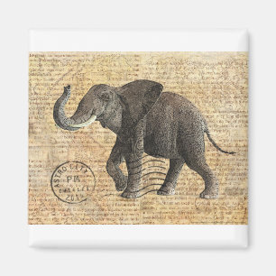 Imã NOB175 Caminhão 3.tif