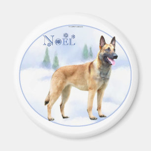 Imã Noel Belmalinois