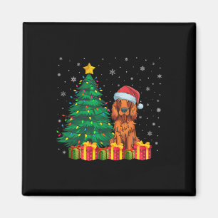 Imã Noel Noel Hat, Setter Irlandês, Cão de Natal L