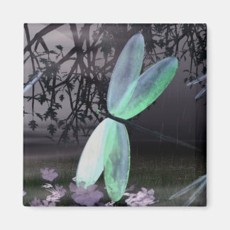 Imã Noite das Dragonflies