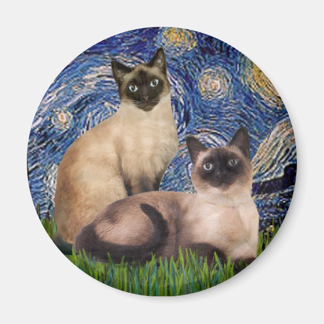 Imã Noite Estrelada - Dois gatos siameses (Choc Pt) (Frente)