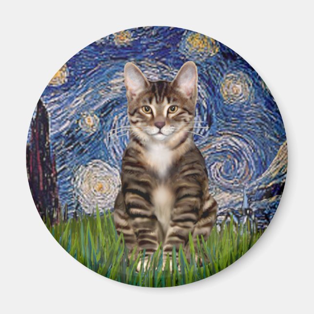 Imã Noite Estrelada - Gato Tigre Tabby 30 (Frente)